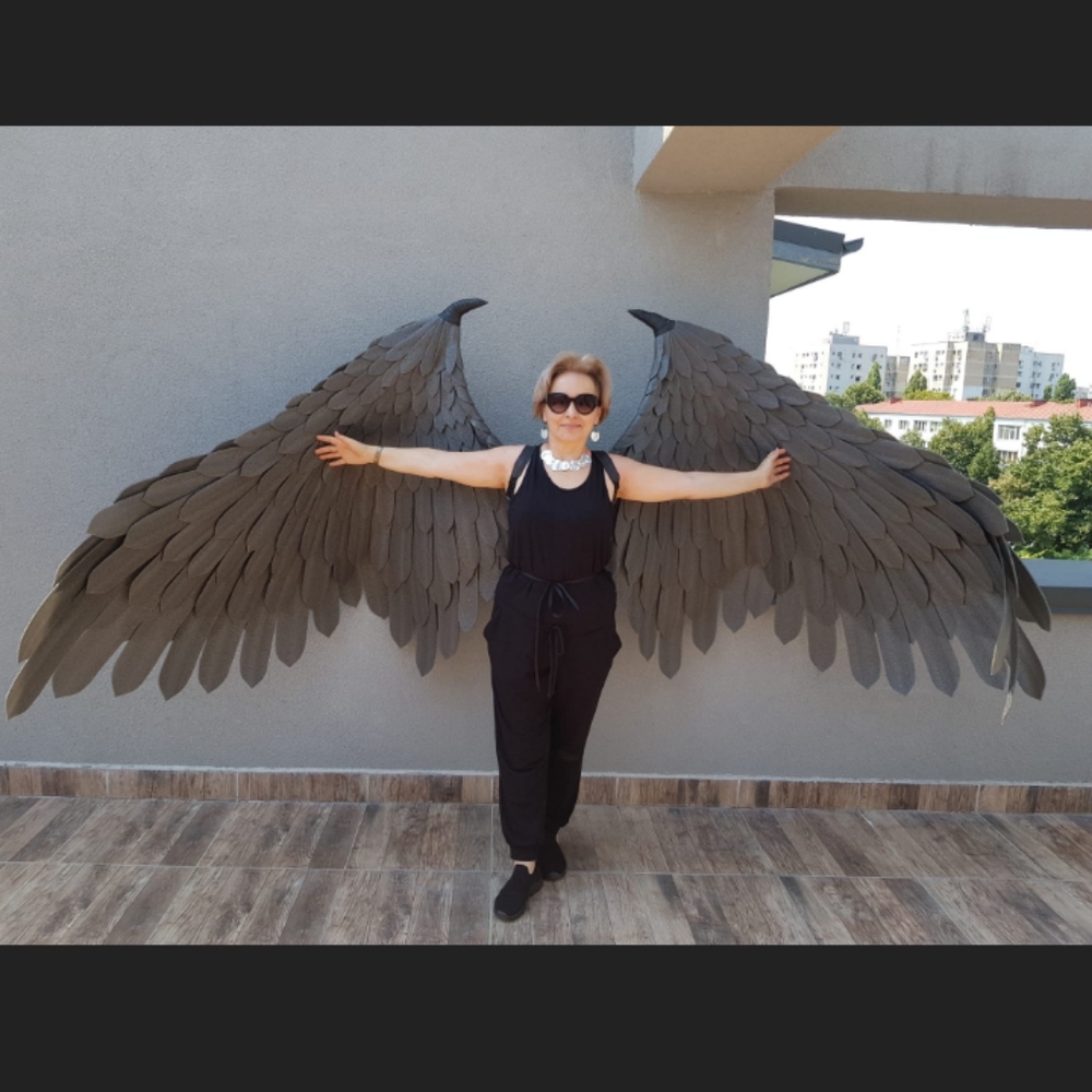 Dark Fairy wings